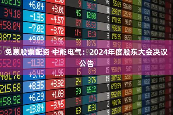 免息股票配资 中能电气：2024年度股东大会决议公告