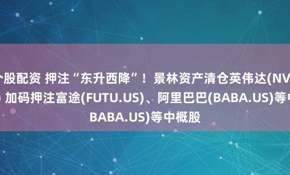 个股配资 押注“东升西降”！景林资产清仓英伟达(NVDA.US) 加码押注富途(FUTU.US)、阿里巴巴(BABA.US)等中概股